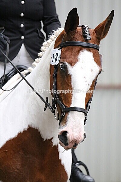 SIAL4813 - CAbin Dressage 5th july 2025
