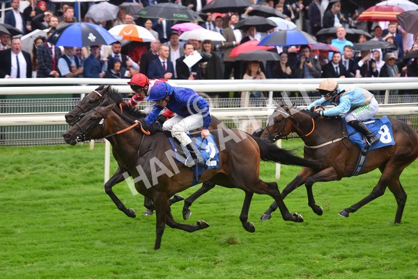 yr21082021r6-36 - Race 6 4.45pm Sky Bet Stakes