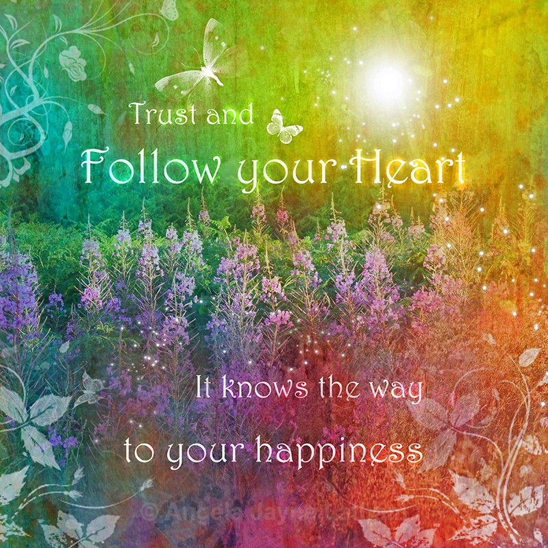 IS003 Follow your Heart - Inspirations Collection