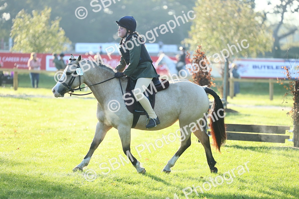 SBM_37268 - S29 - Novice & Newcomers Working Hunter Pony
