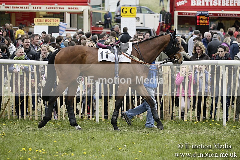 PtP 170417 475 - Old Berks Point-to-Point Lockinge 17/04/17