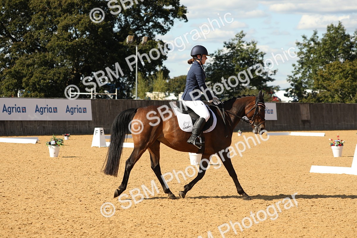 SBM_24666 - D17 - Grand Tour Championship - Novice 27