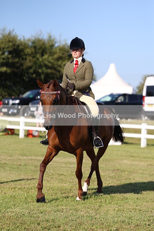 3E7A5066 - Class 1: Rising Star Small Hack/Riding Horses