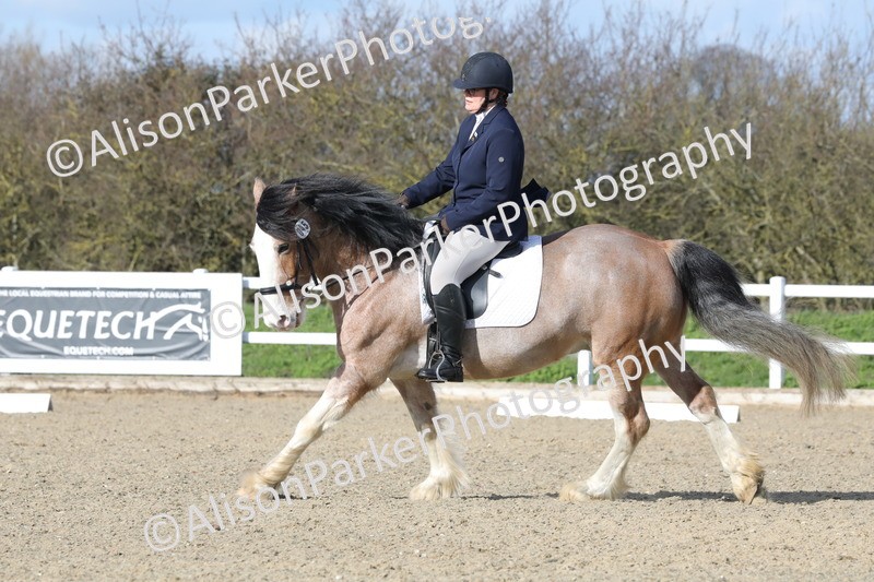 20260314-5011 - CT6 - Elementary 1