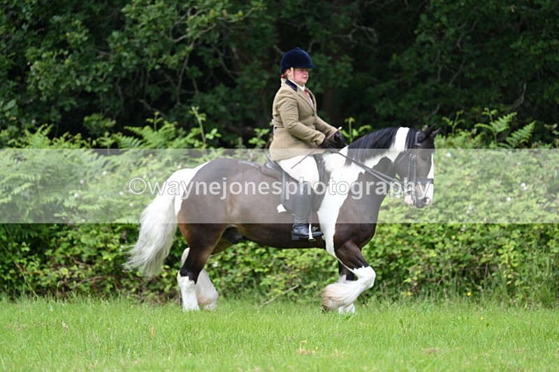 WJ7_2319 - Class 12A Coloured Class