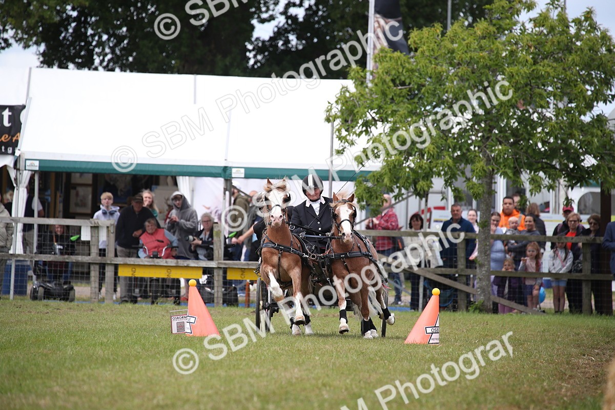 SBM_15495 - Class 90 - Scurry 122cm and Under