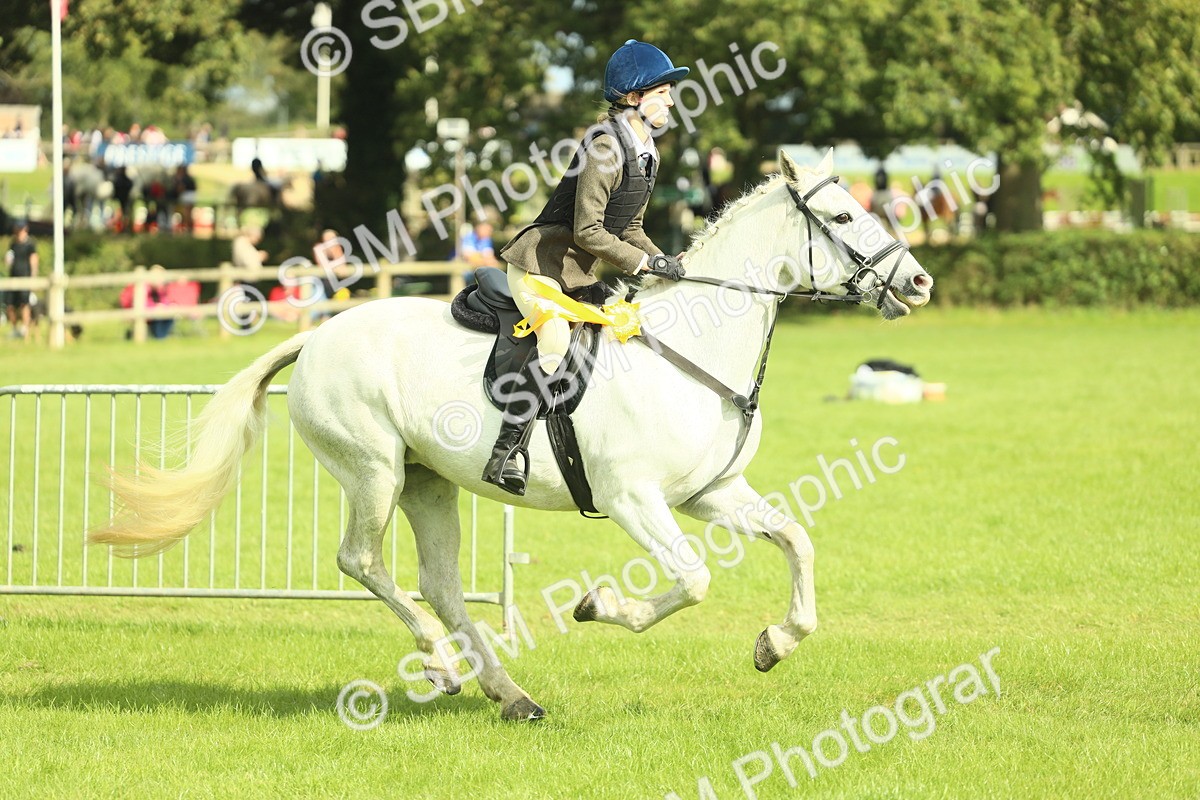 SBM_44847 - S31 - Working Hunter Pony