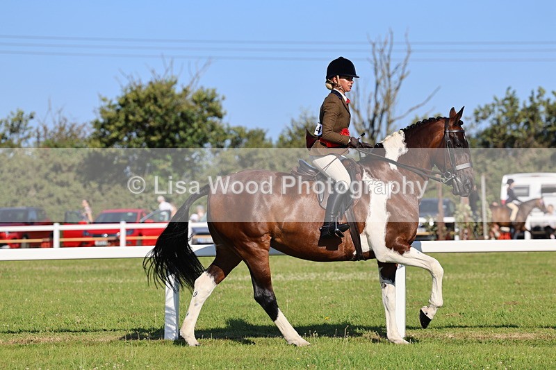 IMG_1353 - Class 27: Ridden Plaited Coloured Horse
