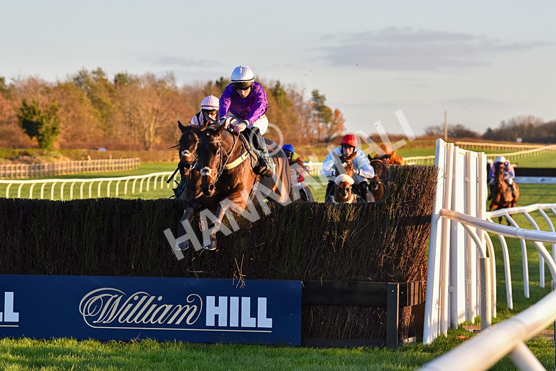 241123-Race 6-Some Scope-7681 - Race 6