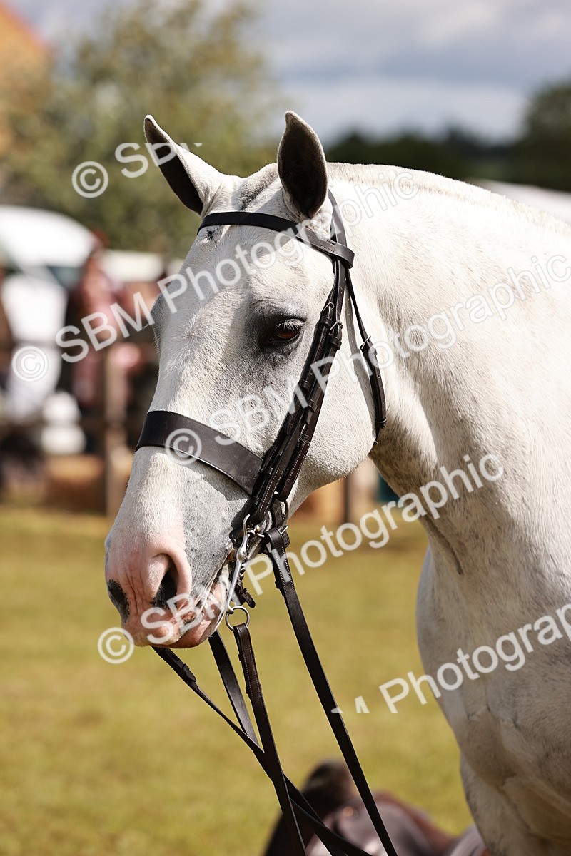 SBM_13129 - Class 85-87 - RIHS Cobs