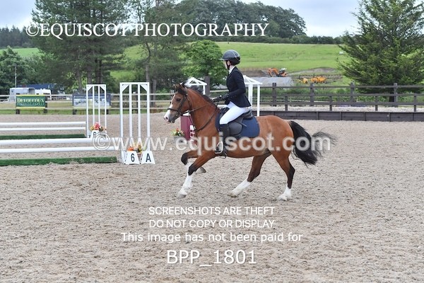 BPP_1801 - DERBY CLASS 5 - 60CM