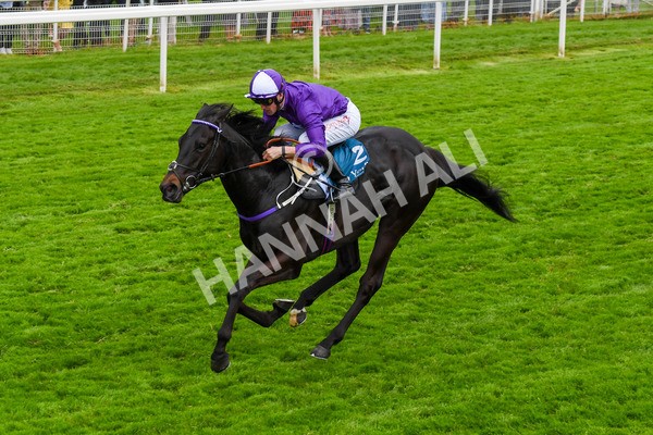 180523-Race 6-Cuban Thunder-0754 - Race 6 4.45pm Frank Whittle Partnership ebfstallions.com Maiden Stakes