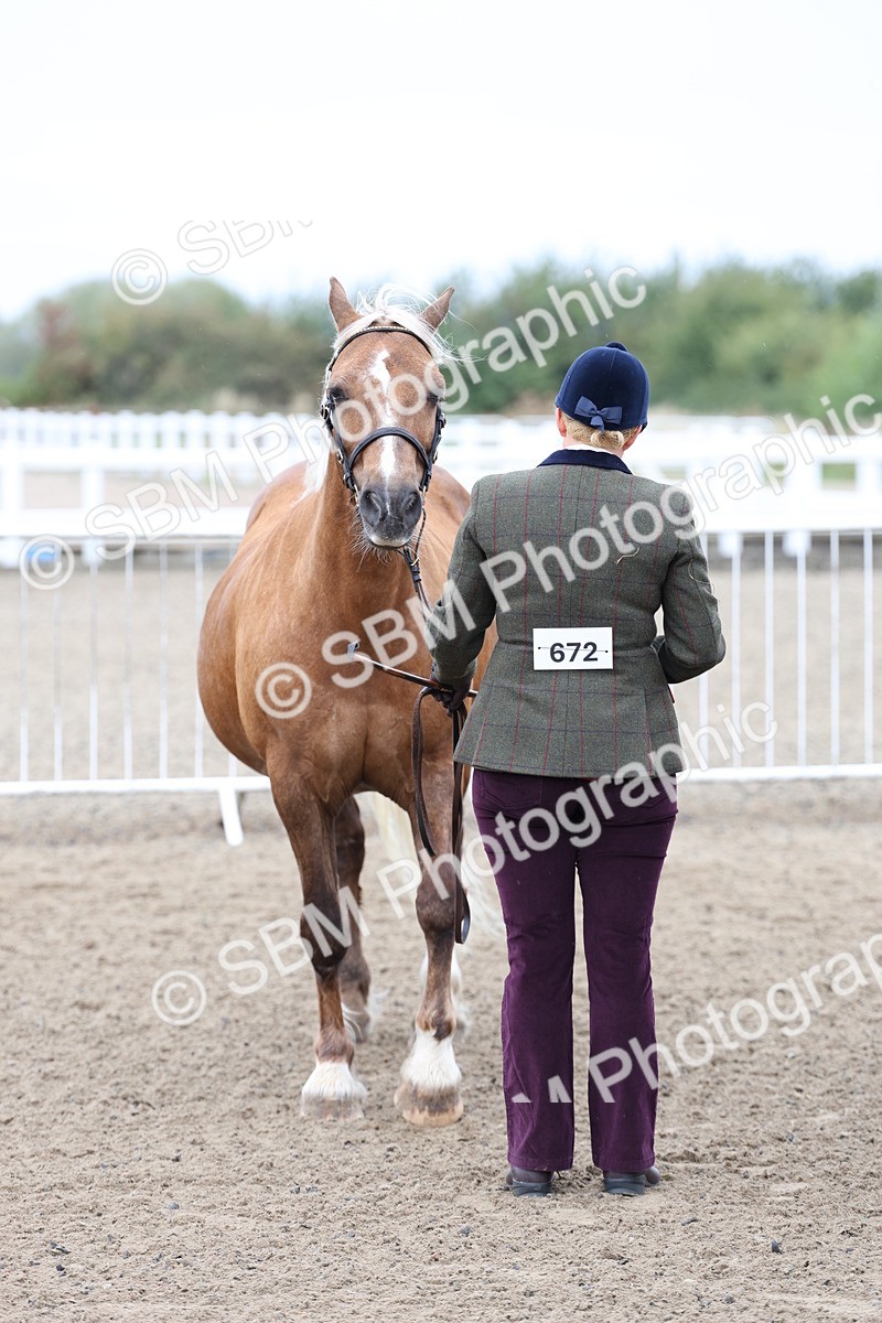 SBM_00032 - Class 50 - Best Turned Out IH