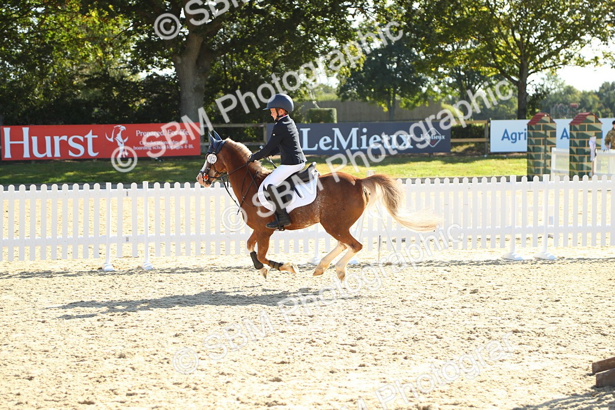 SBM_36071 - J5 - Junior Pony 50cm Championship