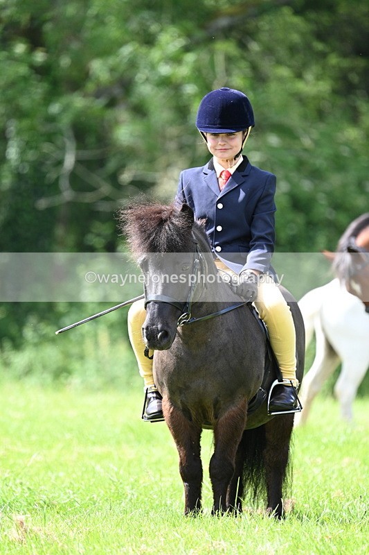 WJ7_1390 - Class 11 Condition & Turnout