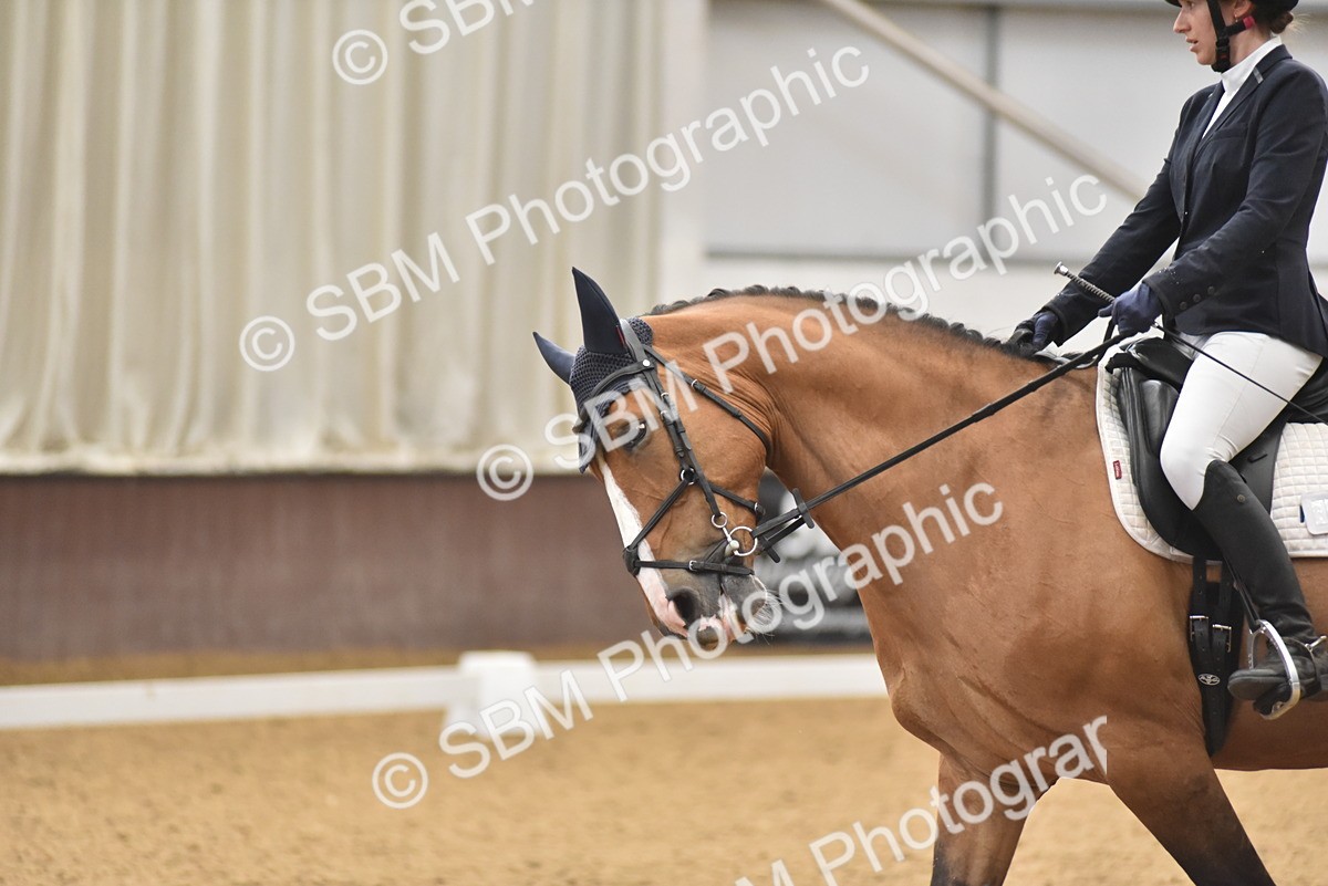 SBM_011013 - Class 8 - Novice 5