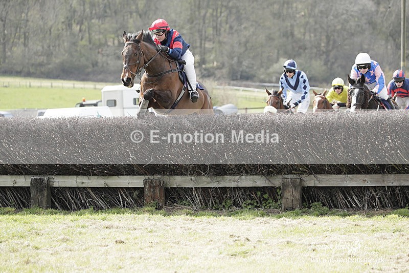PtP 080423 171 - Dingley Races The Woodland Pytchley Hunt PtP 08/04/23