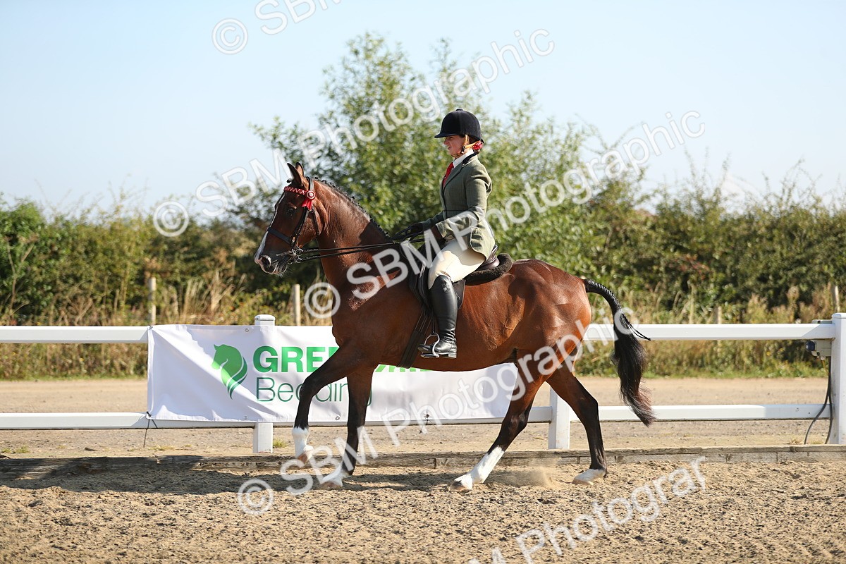 SBM_01146 - Class 42 Ridden Veteran