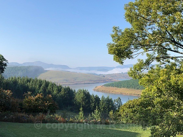 Misty Morning - LANDSCAPES & TREES