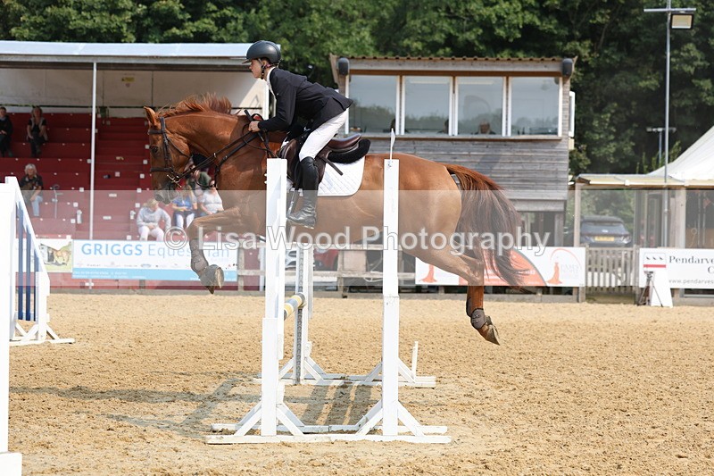 3E7A1246 - Class 4: Senior British Novice/90cm open
