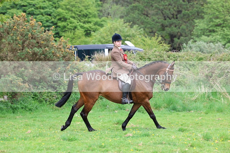 3E7A2186 - Ridden Championship