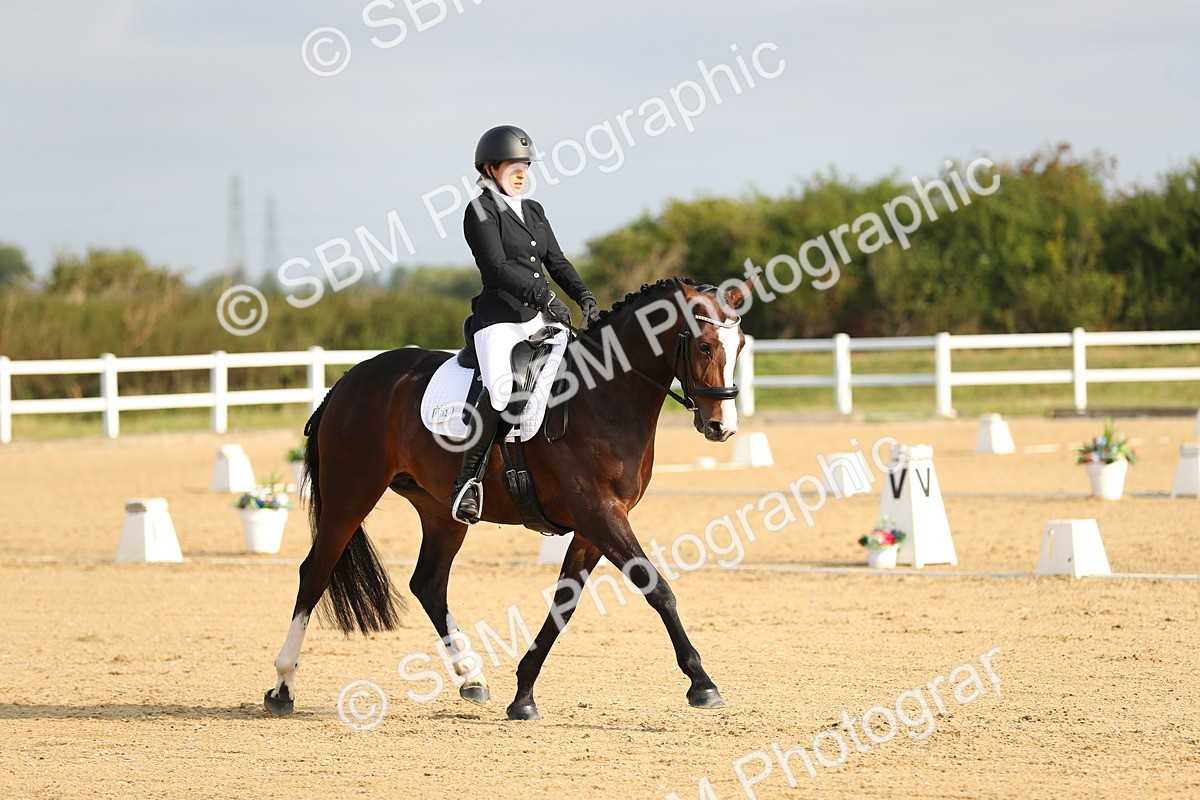 SBM_015028 - Class 13 - Novice 23 - 8,30-9.33