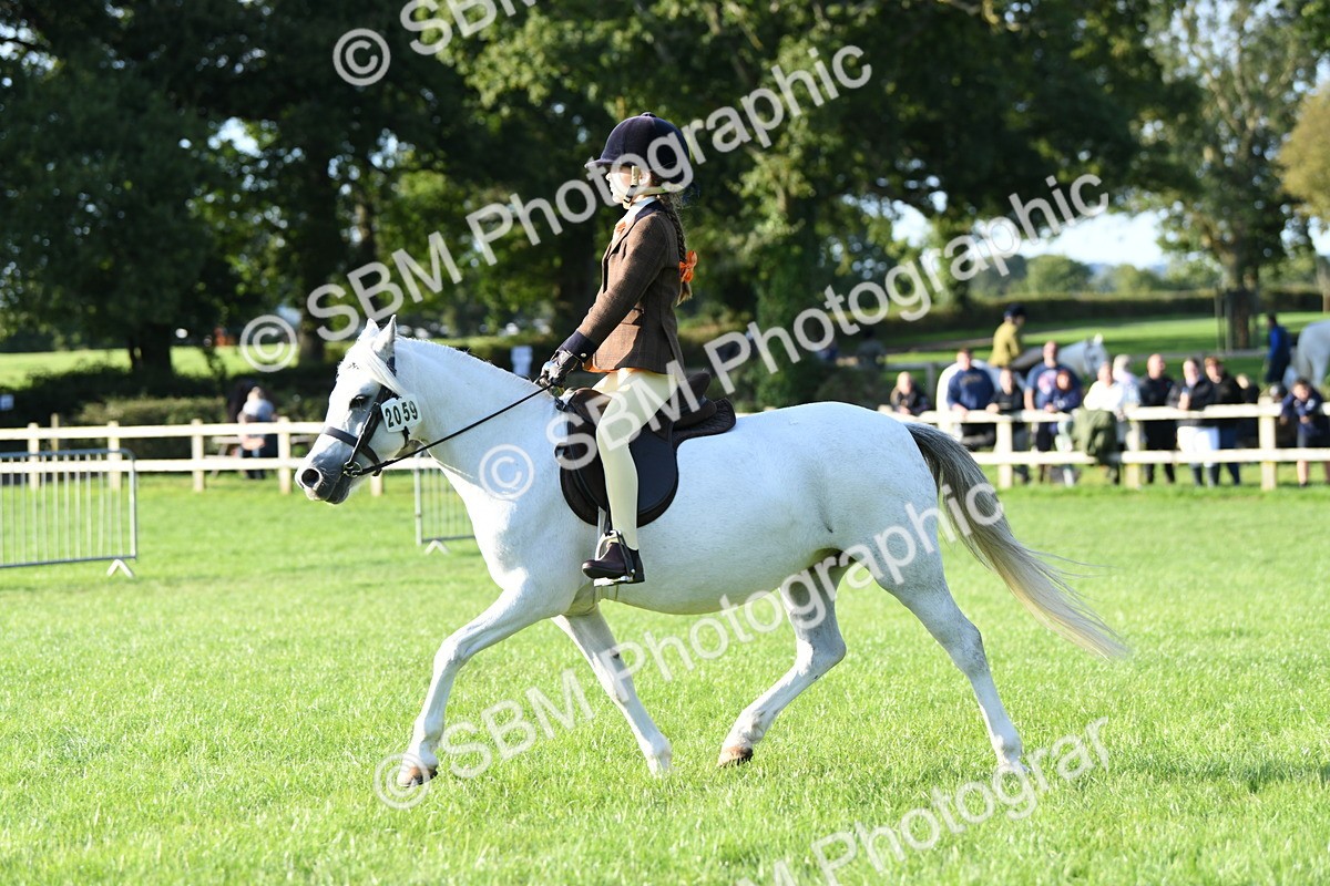 SBM_54049 - S23 - 1st Ridden Mountain & Moorland Pony