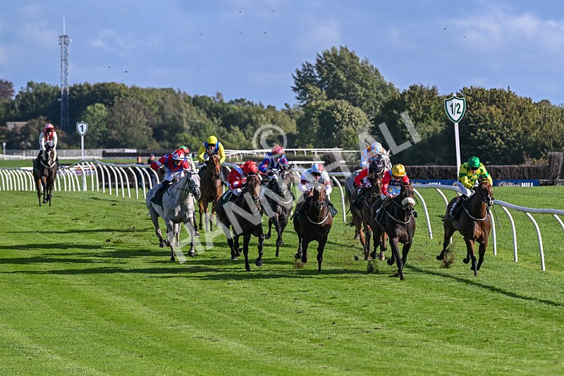 080926-Race 6-Shes A Goldigger-3070 - Race 6 4.46pm Download The Raceday Ready App Handicap