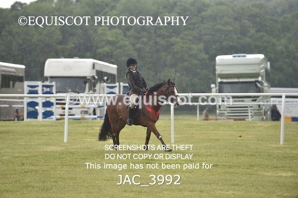 JAC_3992 - 55cm WORKING HUNTER