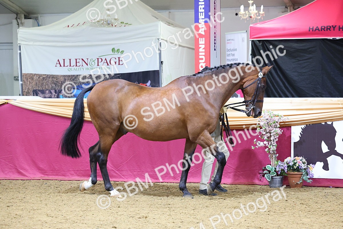 SBM_19356 - Class 901 - Supreme Final - IH Diamond