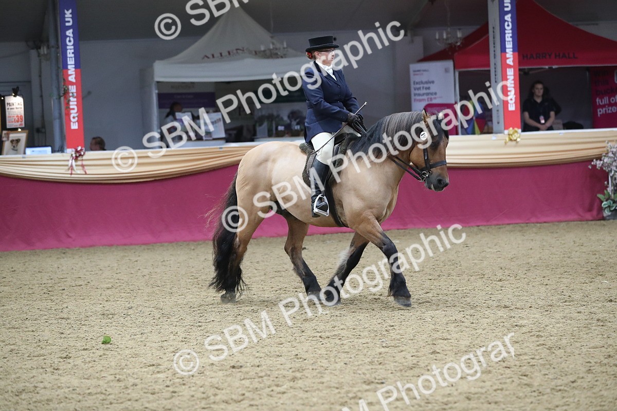 SBM_16441 - Class 502 M&M Ridden Supreme Final