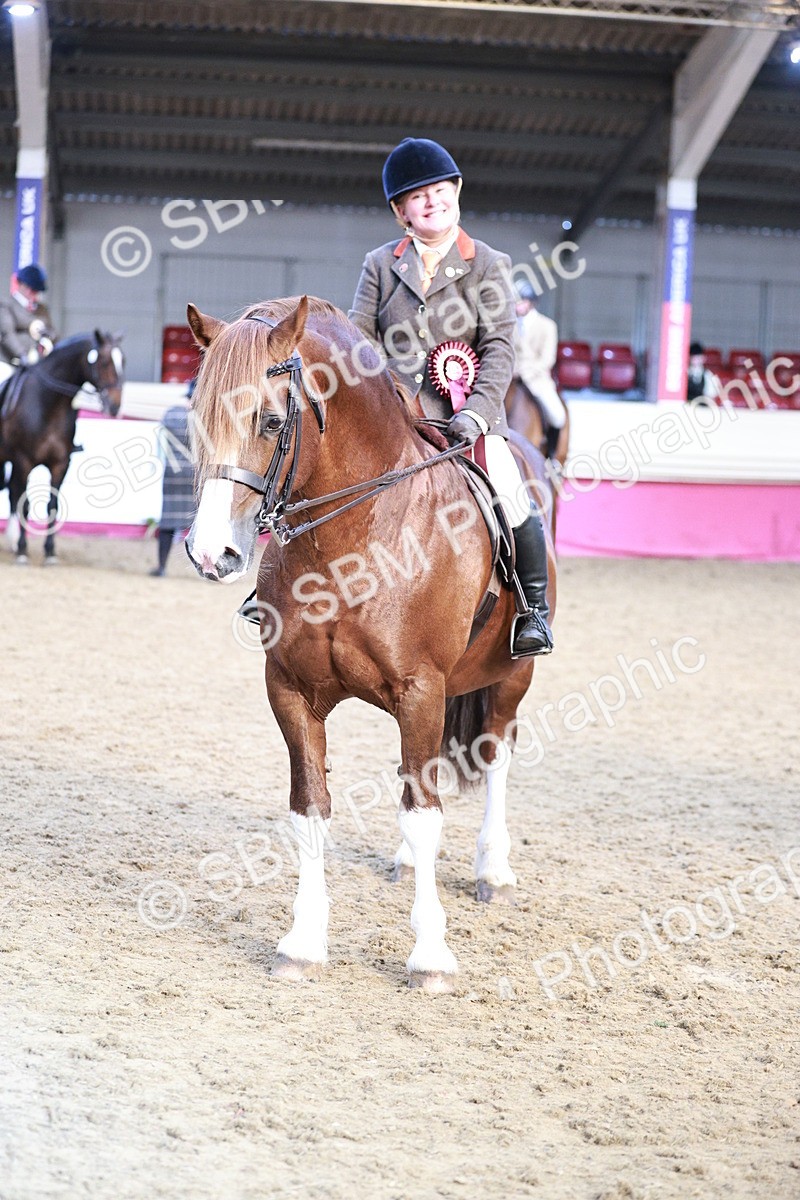 SBM_09126 - Class 12R - Regional Ridden Pre-Vet