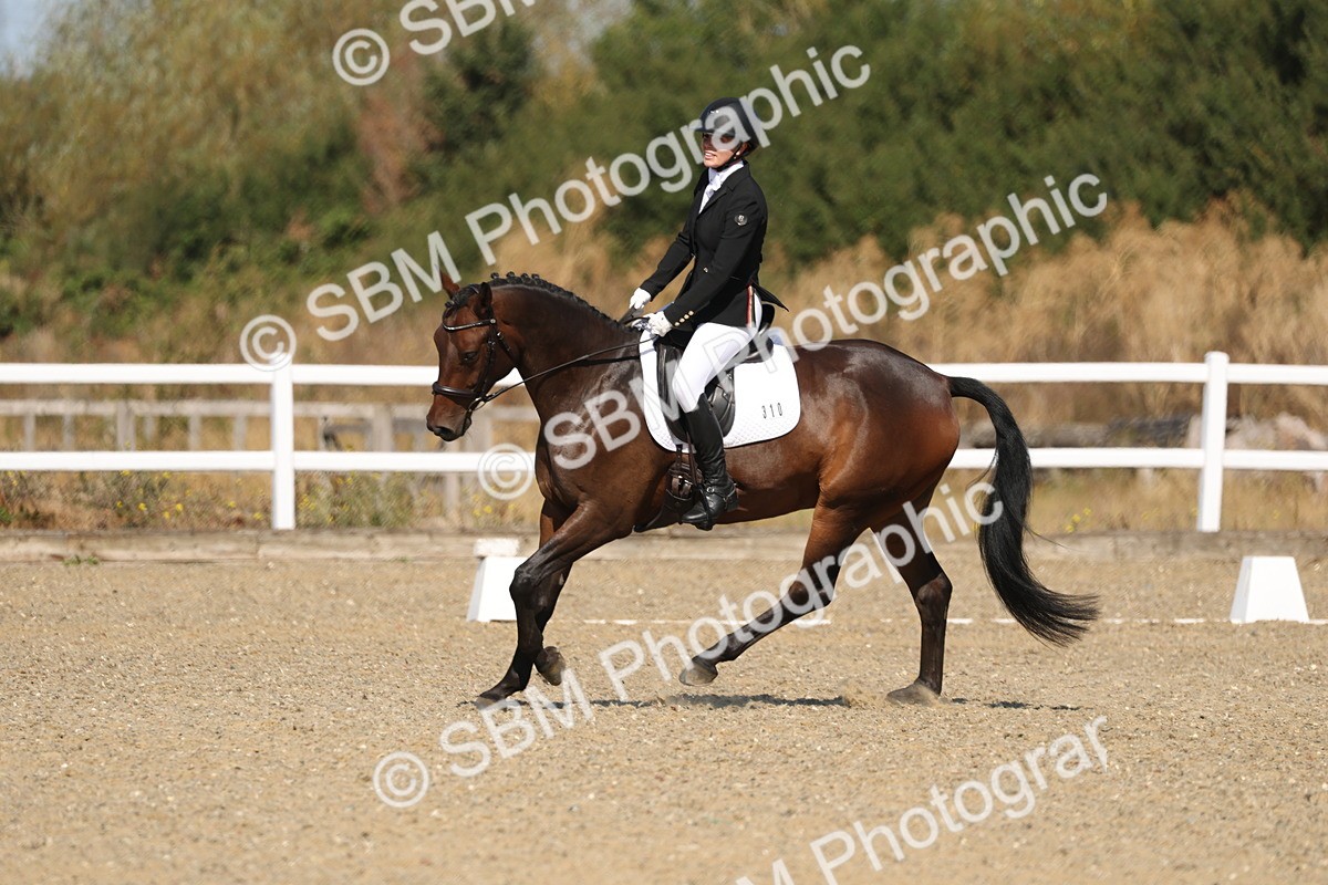 SBM_013463 - Class 1 - P5 Bronze 10.38.12.02