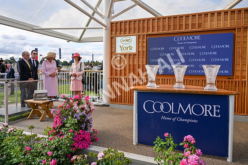 210826-Race 4-Bacio-0512 - Race 4 15.35pm Coolmore City Of Troy Nunthorpe Stakes