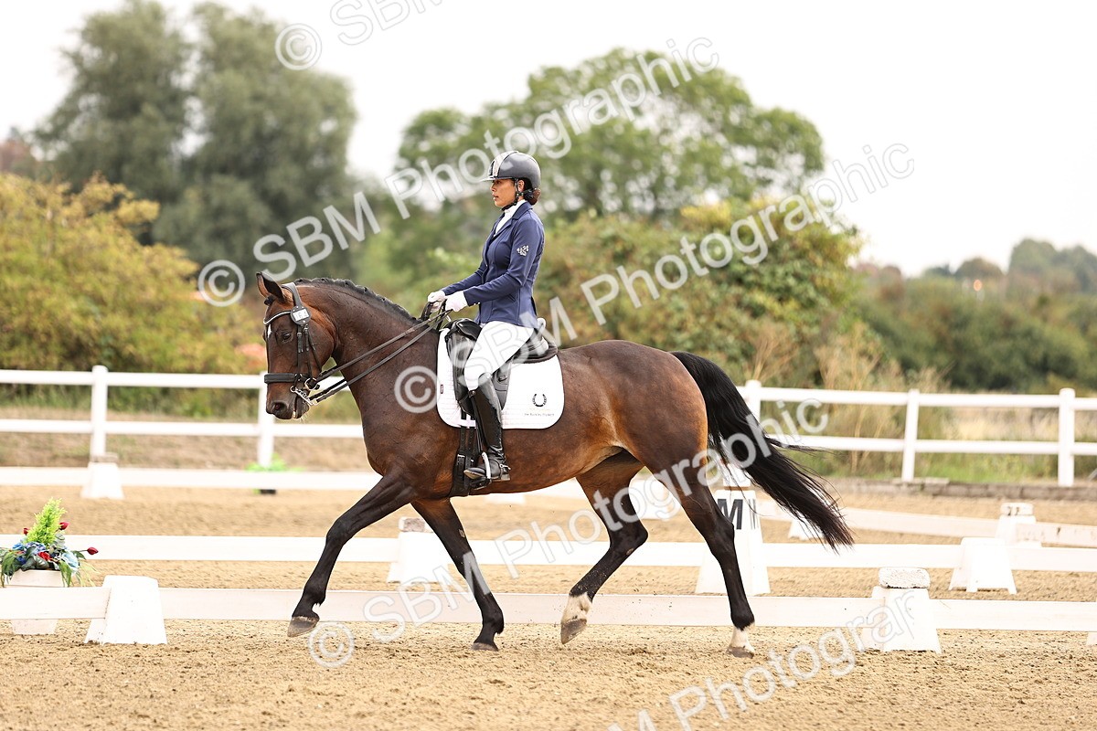 SBM_011611 - Class 1 - Medium 5