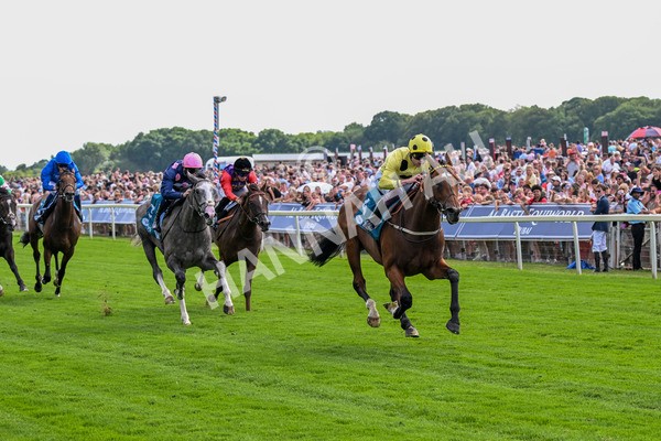 280625-Race 4-Hankelow-0325 - Race 4 3.40pm Al Basti Equiworld Dubai Novice Stakes