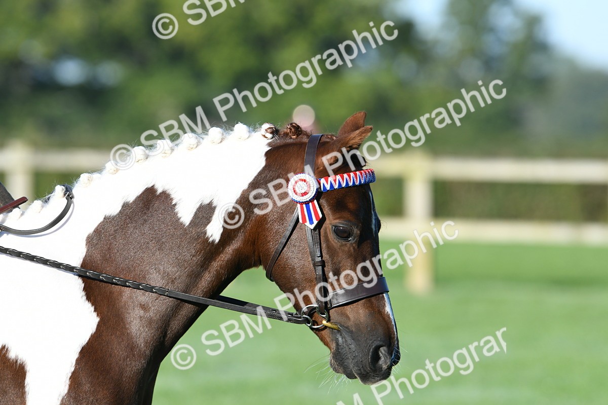 SBM_33869 - S16 - Condition & Turnout - Ridden