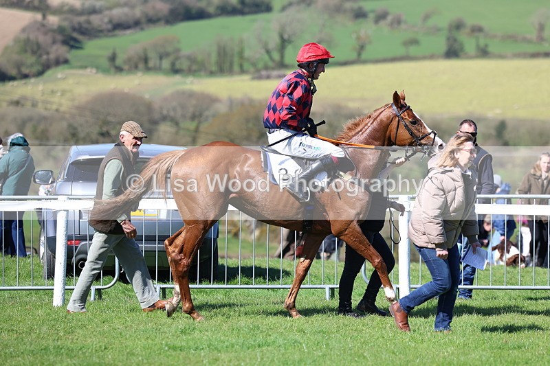 3E7A5345 - Race 4:  Maiden
