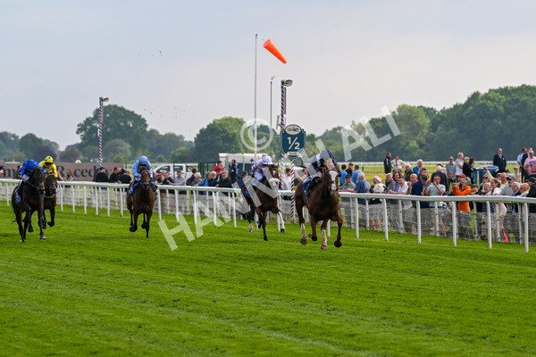 160524-Race 4-Economics-5938 - Race 4 3.45pm Al Basti Equiworld Dubai Dante Stakes