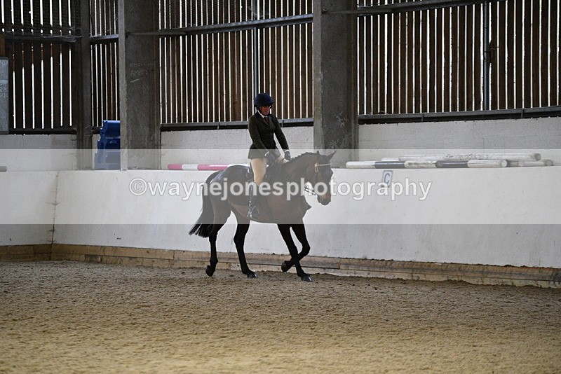 WJ5_8886 - Class 15 Ridden Show Horse