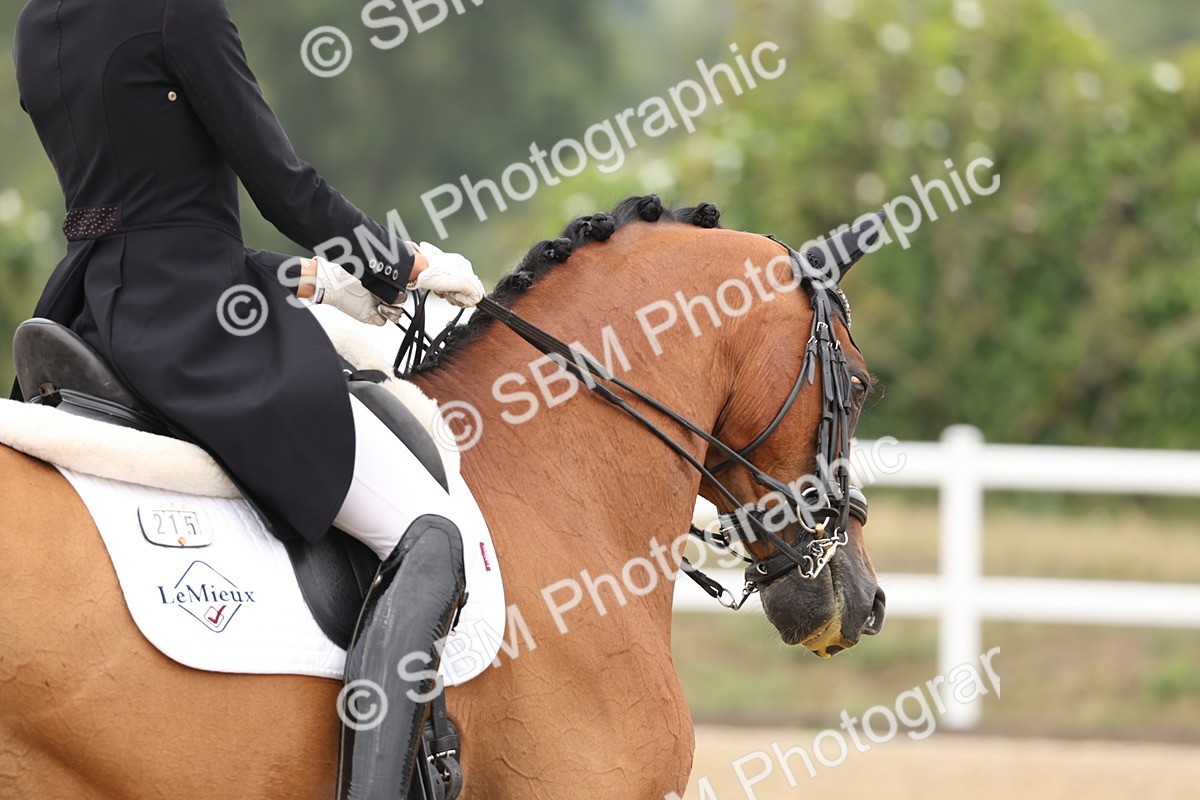 SBM_008044 - Class 10 - FEI INT I - 16.10-16.50