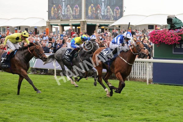 yr20082021r4-99 - Race 4 3.35pm Coolmore Wootton Bassett Nunthorpe Stakes (British Champions Series Race)