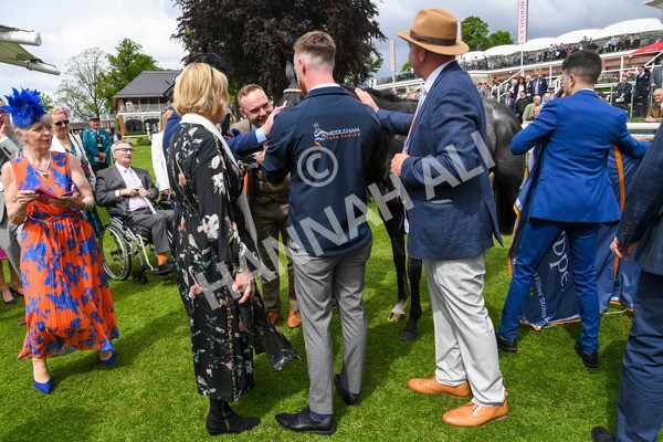 190523-Race 1-Got To Love A Grey-0053 - Race 1 1.50pm Clipper EBF Marygate Fillies' Stakes