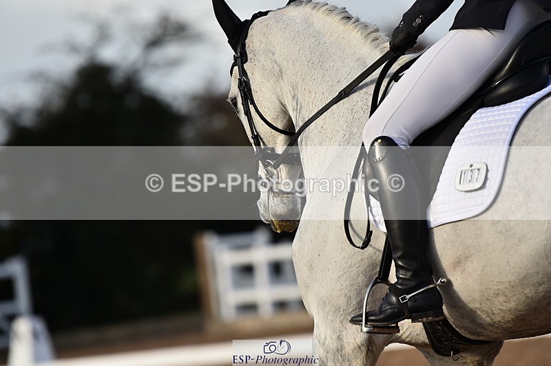 231104A-140514-02031 - Cls 10 Medium 61