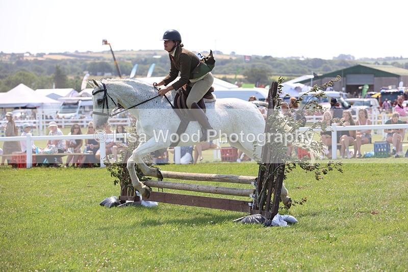 JPP_2693 - Class 21: Working Hunter 60cm
