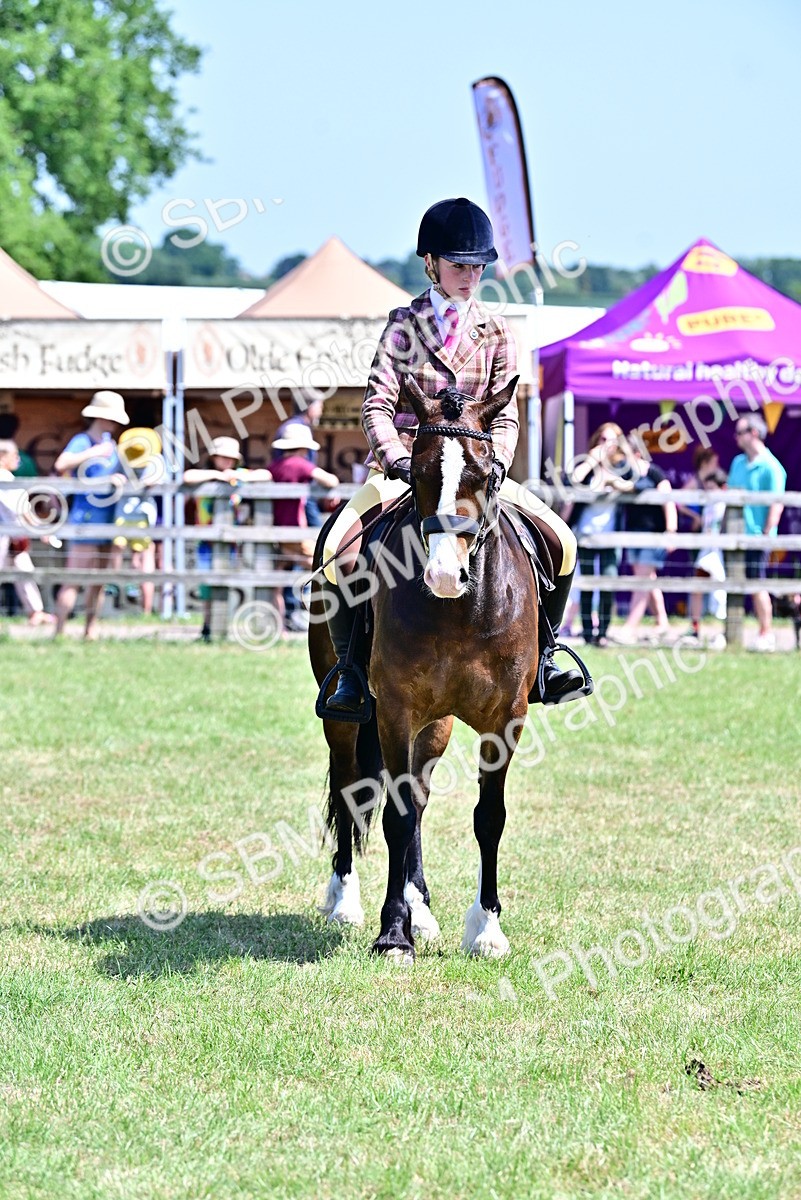 SBM_15410 - Class 95-97 - BSPS LHS Performance Ponies