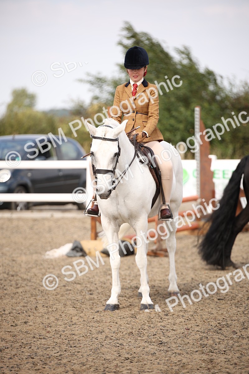 SBM_15066 - Class 408a - Working Veteran 70cm (15-19