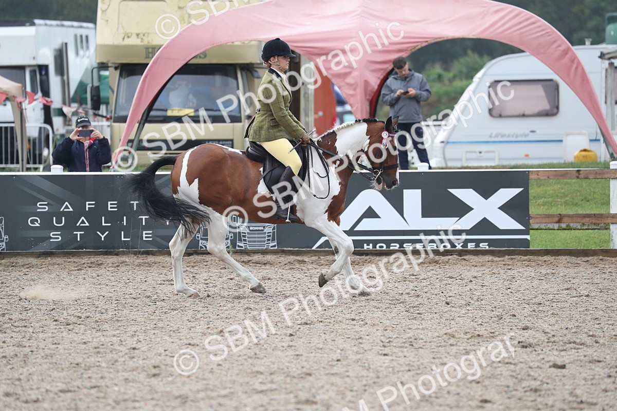 SBM_21625 - Class 602 - 2025 Area - Ridden Veteran