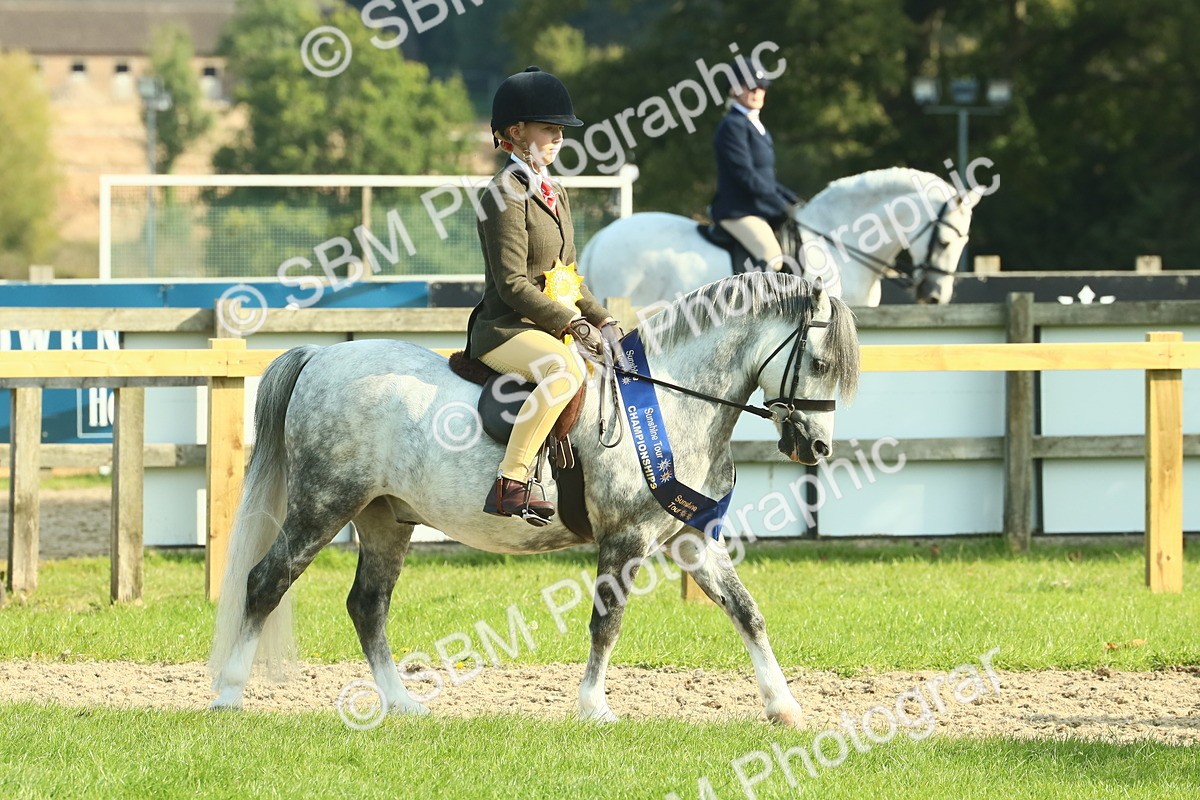 SBM_61080 - Starter Supreme Championship