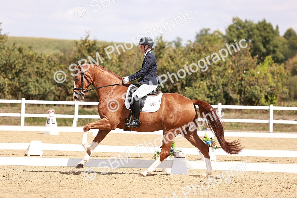 SBM_018452 - Class 17 - Novice 6